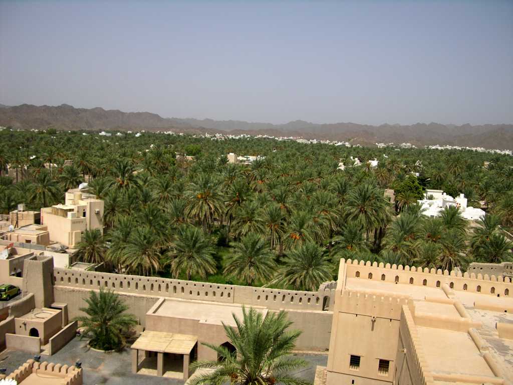 Muscat 06 Nizwa 09 Round Tower View Of Palm Trees In one direction the Round Tower offers a view of the towns mud brick homes, surrounded by a thick palm oasis.